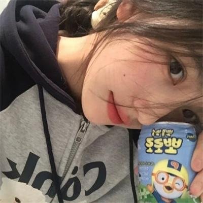 狮子护卫队第一季